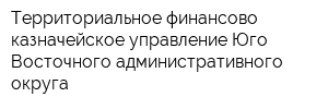 Территориальное финансово-казначейское управление Юго-Восточного административного округа