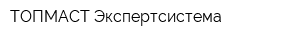 ТОПМАСТ Экспертсистема