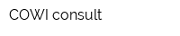 COWI consult