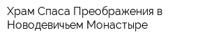 Храм Спаса Преображения в Новодевичьем Монастыре