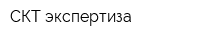 СКТ-экспертиза
