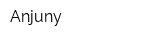 Anjuny