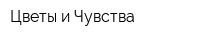 Цветы и Чувства