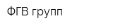 ФГВ групп