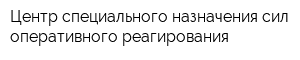 Центр специального назначения сил оперативного реагирования