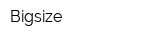 Bigsize