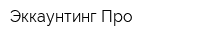 Эккаунтинг Про