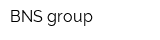 BNS group
