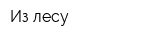 Из лесу