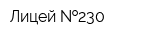 Лицей  230