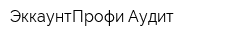 ЭккаунтПрофи-Аудит