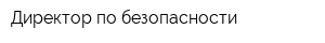 Директор по безопасности
