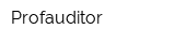 Profauditor