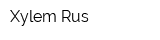 Xylem Rus