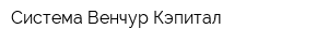 Система Венчур Кэпитал