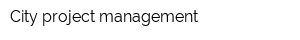 City project management