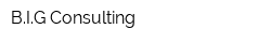 BIG Consulting