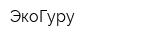 ЭкоГуру
