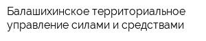 Балашихинское территориальное управление силами и средствами