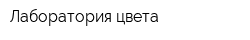 Лаборатория цвета