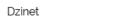 Dzinet
