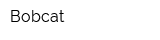 Bobсat