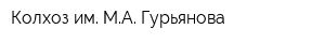 Колхоз им МА Гурьянова
