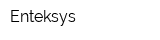 Enteksys