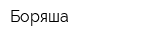 Боряша