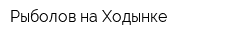 Рыболов на Ходынке