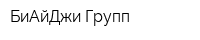 БиАйДжи Групп