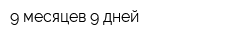 9 месяцев 9 дней