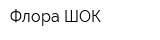 Флора-ШОК