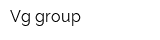 Vg group
