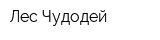 Лес-Чудодей