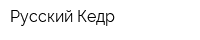 Русский Кедр