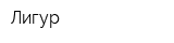 Лигур