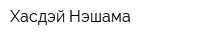 Хасдэй Нэшама