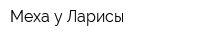 Меха у Ларисы