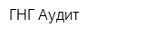 ГНГ-Аудит