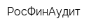 РосФинАудит