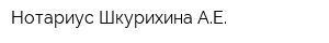Нотариус Шкурихина АЕ