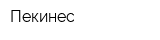 Пекинес