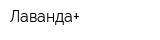Лаванда+
