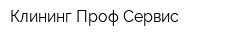 Клининг Проф Сервис