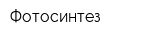 Фотосинтез