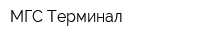 МГС-Терминал