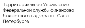 Территориальное Управление Федеральной службы финансово-бюджетного надзора в г Санкт-Петербурге