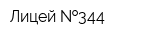 Лицей  344