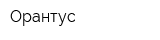 Орантус